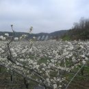 삼오농장 이미지