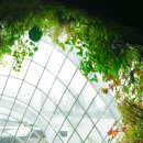 아이플라워 메이트 | 싱가포르 자유여행 코스 가든스바이더베이 외 가볼만한 곳 추천