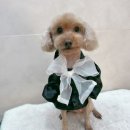 몽심살롱 이미지