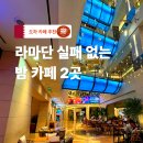 멍's STORY | 카타르 도하 라마단 실패 없는 카페 2곳 추천