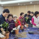 서울화훼유통협동조합 문화일보