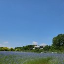 서윤목장 이미지