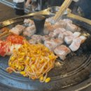 온천게임장 이미지