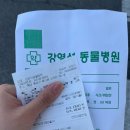 조양로151번길 이미지