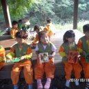 동초병설유치원 이미지