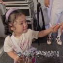 보이는 족족