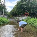 여주숲주록리 | 서울 근교 여주 주록리 계곡 경기도 물놀이 추천
