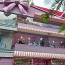 퍼니랜드 | 명동 놀거리 추천! 가챠샵 퍼니랜드 방문후기 (리얼 탕진잼?!)