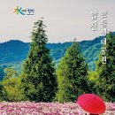 꽃물 공원 | 합천 핫들생태공원 작약꽃｜5월 중순 만개 시기와 방문 팁