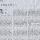 보이나라 이미지