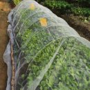 홈테리빙 이미지