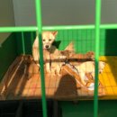 청산동물병원 이미지