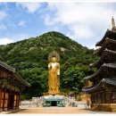 대불금강 이미지