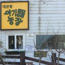 세기농장 | 내돈내산 19개월 아기랑 방문한 대관령 아기동물농장 후기