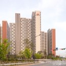 코코블라인드