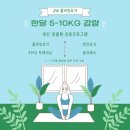 정왕플라잉필라테스