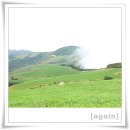 삼양농장 이미지