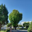 원덕읍사무소 이미지