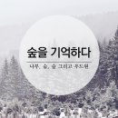 우드원 이미지