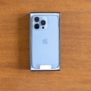 블루테라 이미지