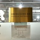 발레핏 | 신당발레 마리 발레&amp;필라테스 발레핏 그룹 후기