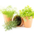 해진유통 이미지