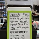 핑크랑보라 이미지