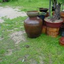 두꺼비농장 이미지