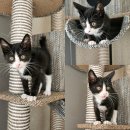 우리들 동물약품 이미지