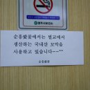 순흥애꽃 이미지