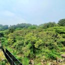 엘리시안타운 앞 이미지