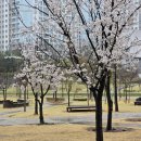 동탄대로6길 | 2동탄 맛집 매드캣 가성비 파스타 맛집 솔직후기