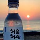 일광여행사주