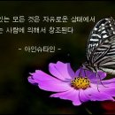 아인슈타인의 명언 이미지