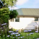 하도조아 이미지