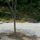 솔밭체육공원 이미지