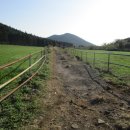 새울목장 이미지