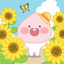 꼬꾸마시 | deja vu