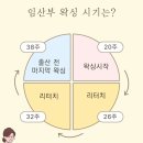당당왁싱 - 강남구 선릉로 565 | 염려증 27주차 임산부 왁싱 후기(당당왁싱 합정점/가격/통증 후기)