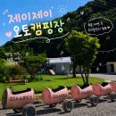 [충남 공주] 제이제이오토캠핑장 8번사이트 / 단점포함 솔직 이용후기 및 시설 총정리