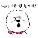 도그밀리 이미지