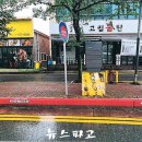 주정차110 뉴스파고