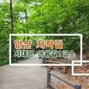 7월1일(토)정기도보 안산자락 숲길 (서대문이음길 1코스)/마감 이미지