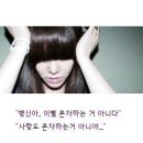 인손 이미지