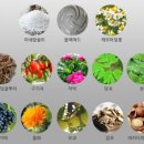 엔아이스포츠 네이버블로그