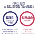 케이 에세르 눈건강 간건강