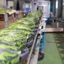 진안군농협조합공동사업법인 이미지