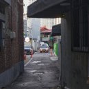 대덕상설시장 이미지