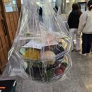 오늘도 샐러드 | [판교 삼평동 샐러드] 판교 점심 맛집 추천 '오늘은샐러드' 후기 | 단체주문하기 딱 좋은 신상 맛집