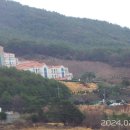함박본마을 Daum카페